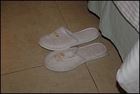 DSC_0007.JPG