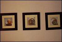 DSC_0021.JPG