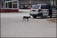 DSC_0049.JPG