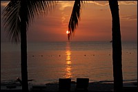 DSC_0081.JPG