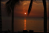 DSC_0082.JPG