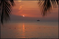 DSC_0086.JPG