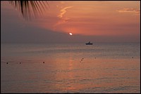 DSC_0087.JPG