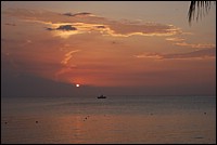 DSC_0088.JPG