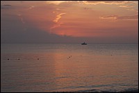 DSC_0090.JPG