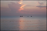DSC_0093.JPG