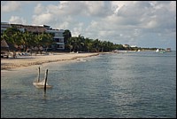 DSC_0100.JPG