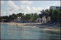 DSC_0102.JPG