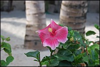 DSC_0114.JPG