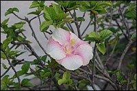 DSC_0116.JPG