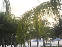 SAM_0616.JPG