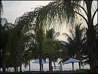 SAM_0623.JPG
