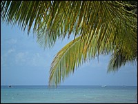 SAM_0638.JPG
