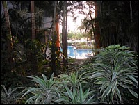 SAM_0657.JPG