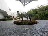 SAM_0659.JPG