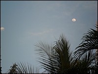 SAM_0664.JPG
