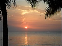 SAM_0689.JPG