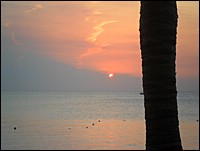 SAM_0694.JPG