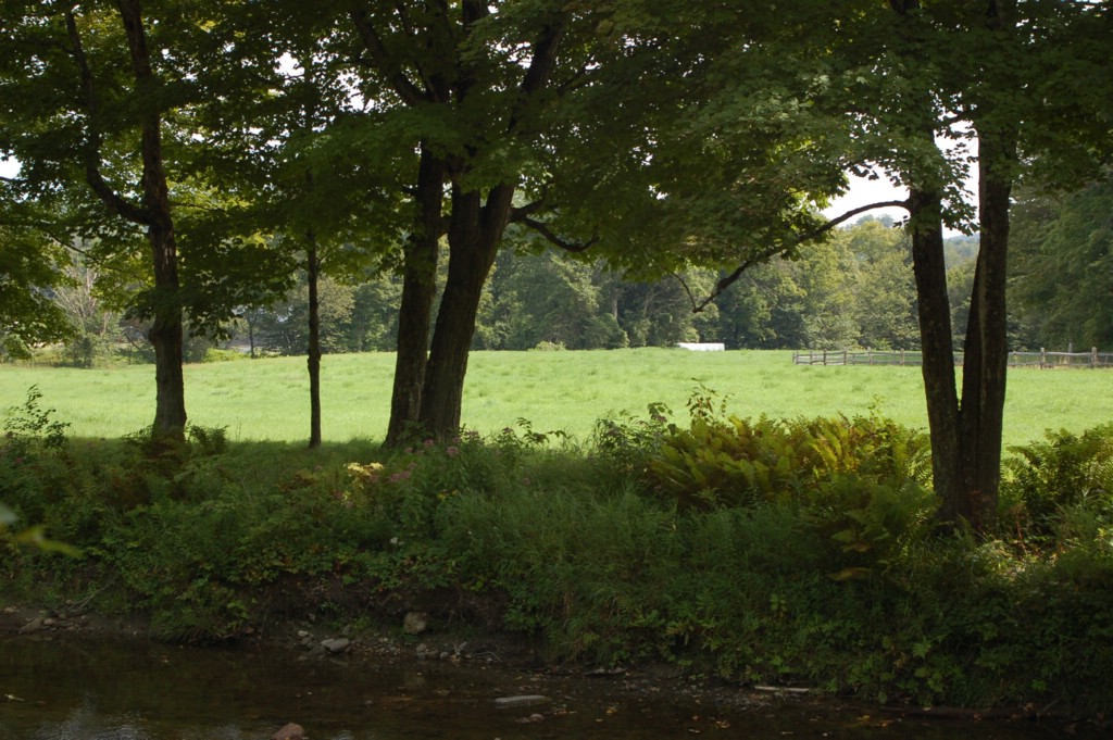 DSC_0013.JPG