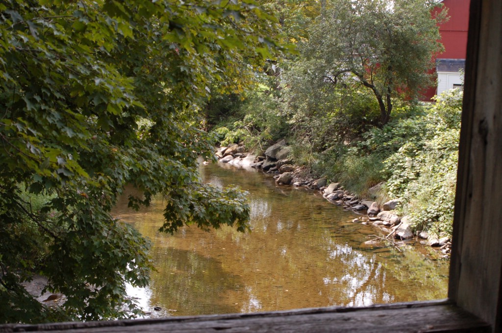 DSC_0018.JPG