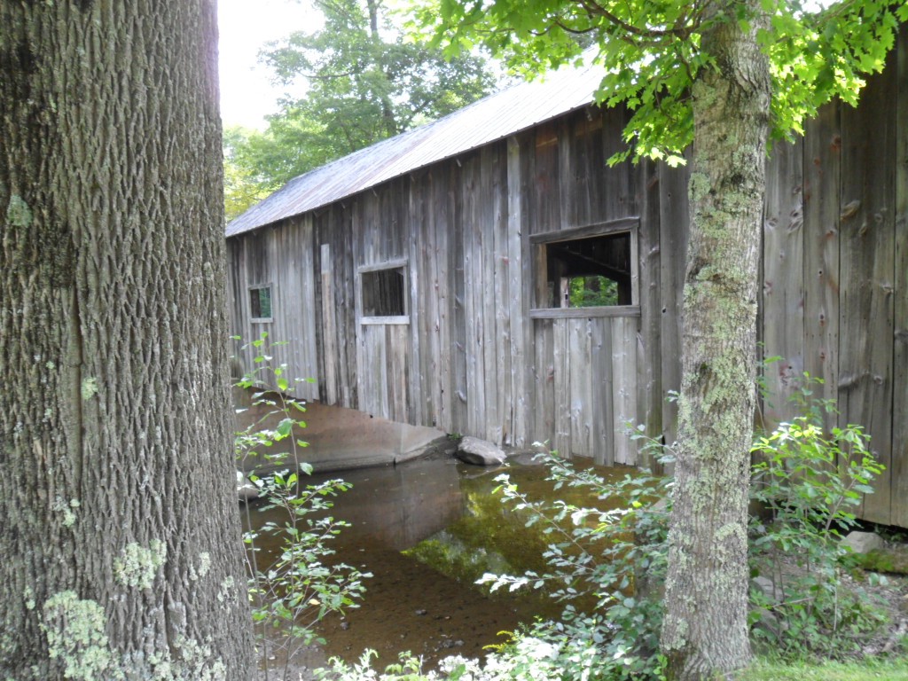 DSC_0020e.JPG