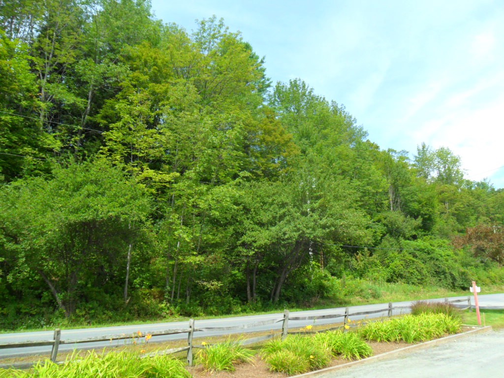 DSC_0031a.JPG