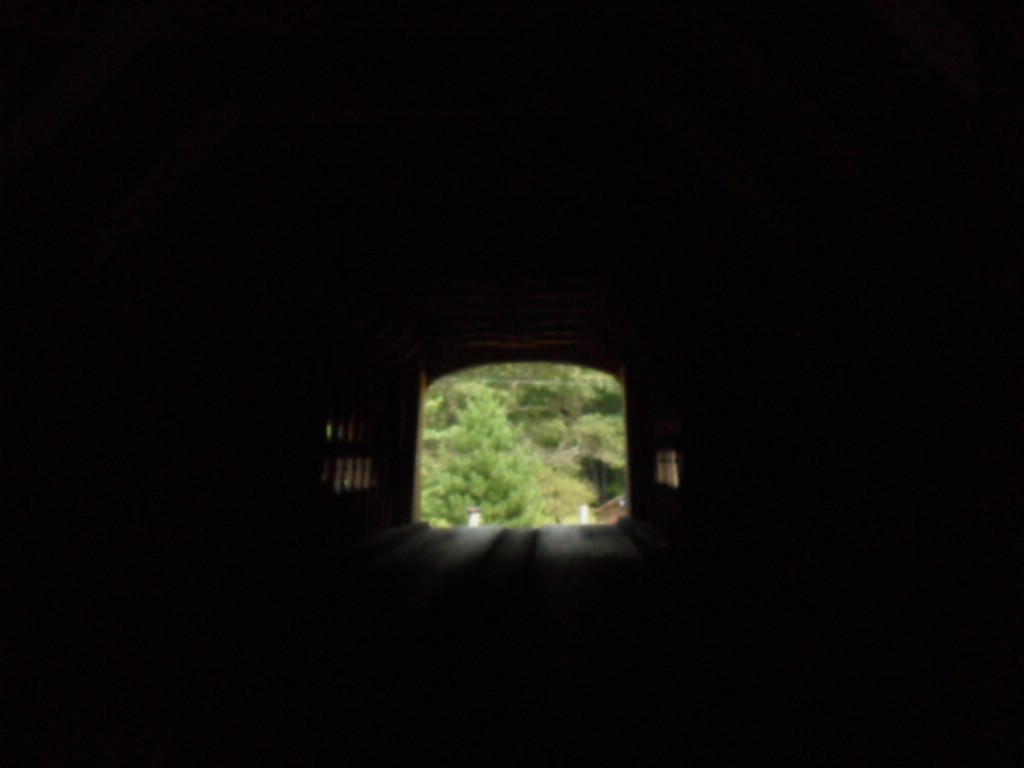 DSC_0031l.JPG