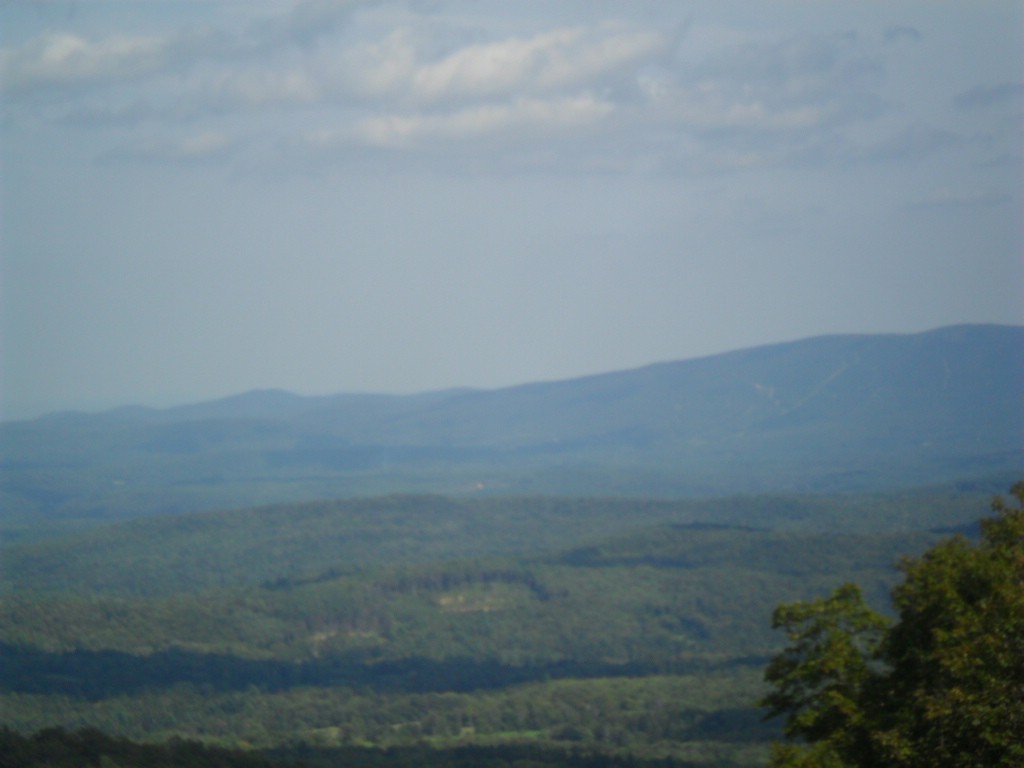 SAM_0739.JPG
