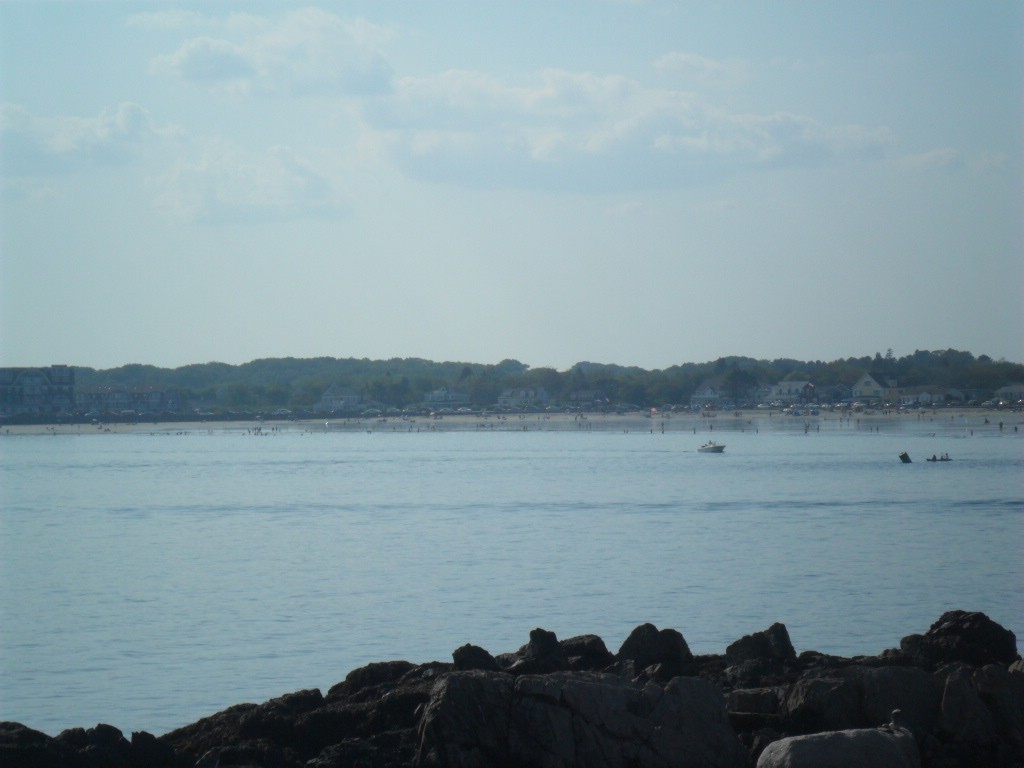 SAM_0761.JPG