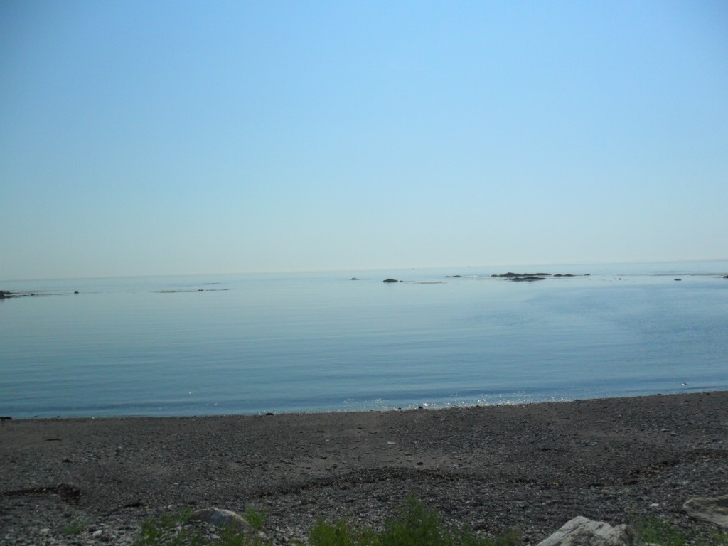 SAM_0767.JPG