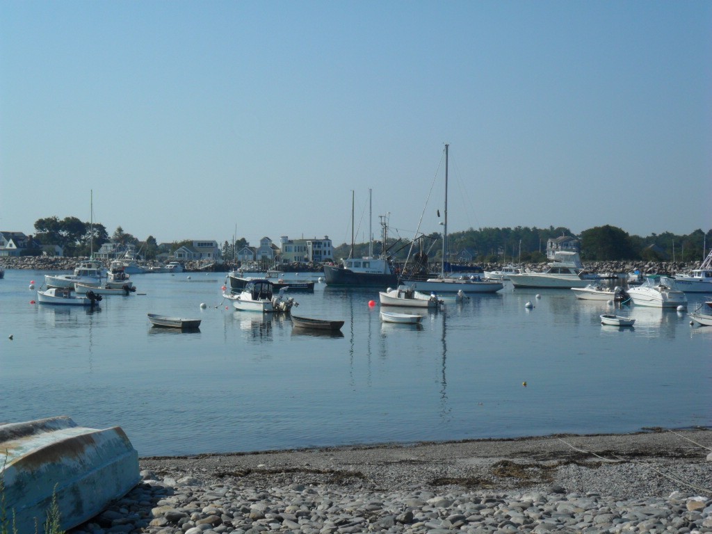 SAM_0773.JPG