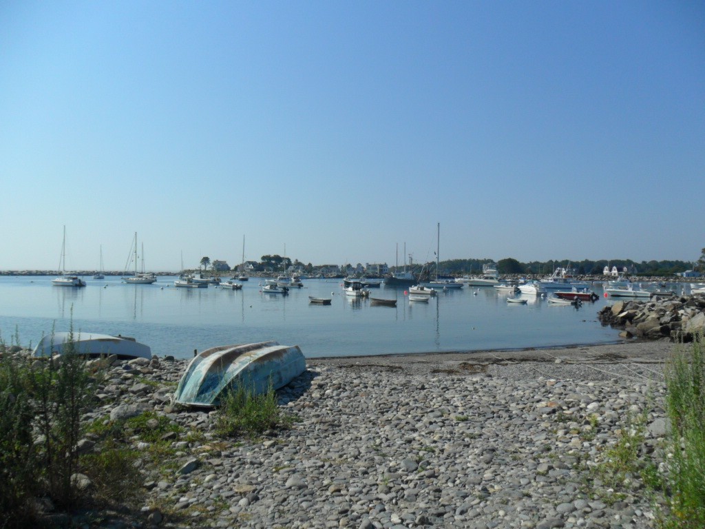 SAM_0774.JPG