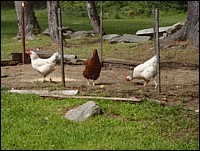 DSC_0012c.JPG