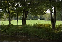 DSC_0013.JPG