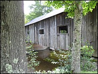 DSC_0020e.JPG