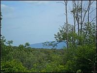 SAM_0730.JPG