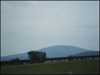 SAM_0731.JPG