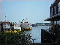 SAM_0756.JPG