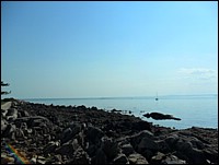 SAM_0758.JPG