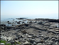 SAM_0771.JPG
