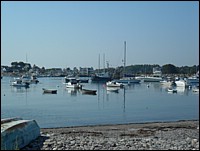 SAM_0773.JPG