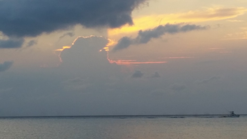 20150503_190636.jpg