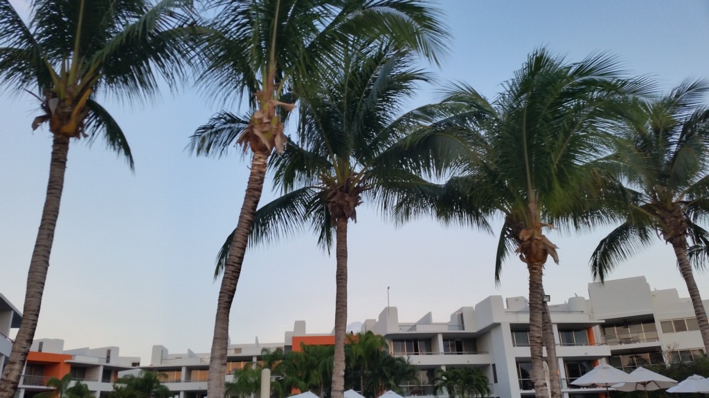 20150503_190711.jpg