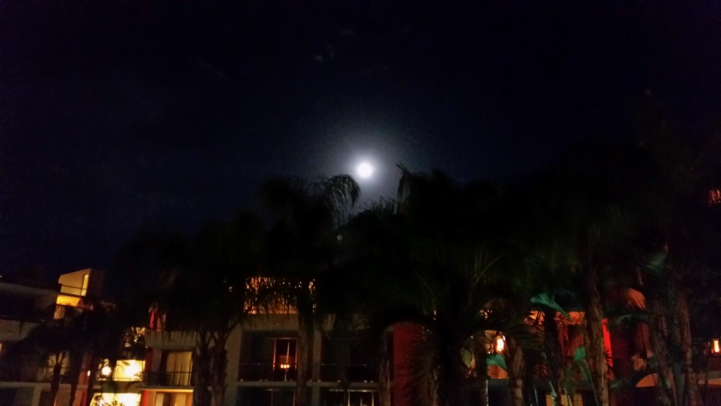 20150503_205024.jpg