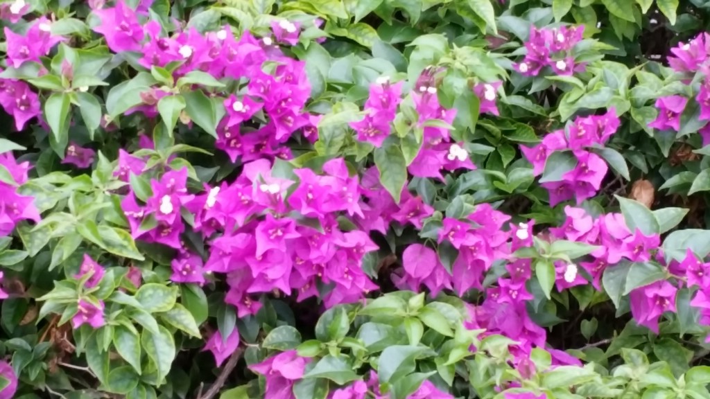 20150504_163702.jpg