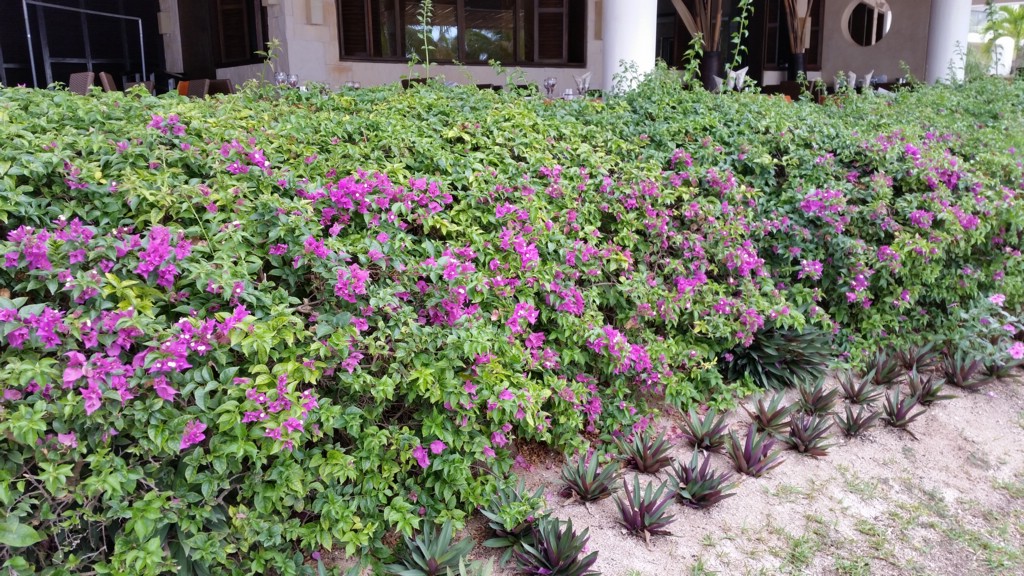 20150504_163708.jpg