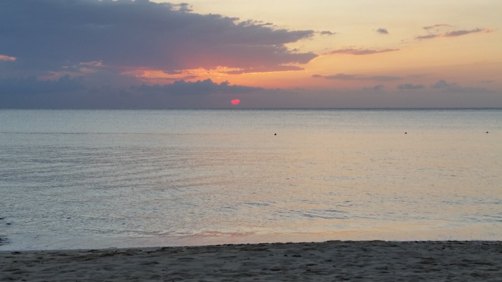 20150504_190957.jpg