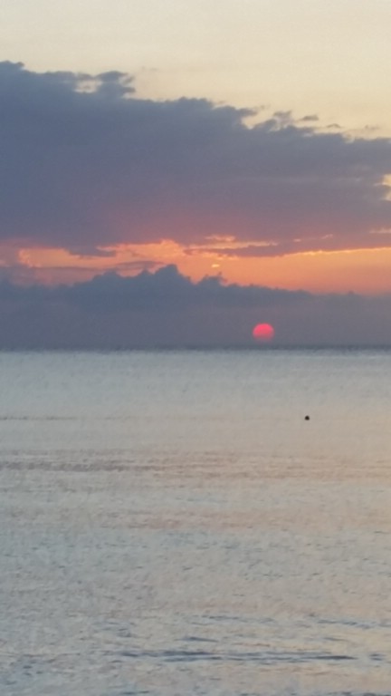 20150504_191037.jpg