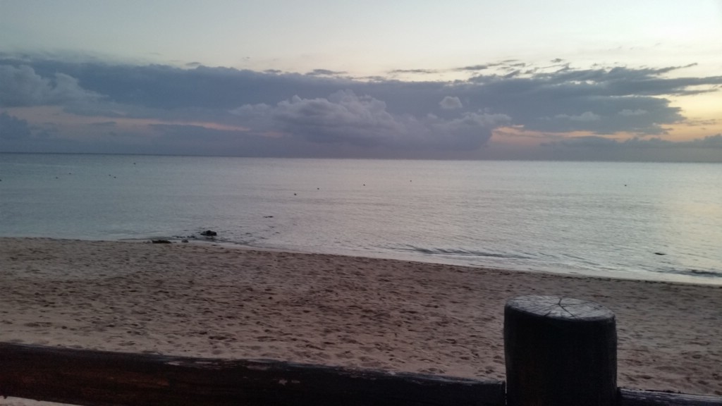 20150504_192226.jpg