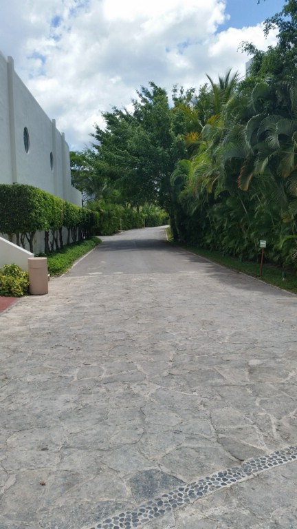 20150505_115524.jpg